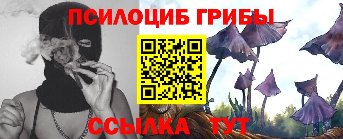 Псилоцибиновые грибы прущие грибы Туймазы