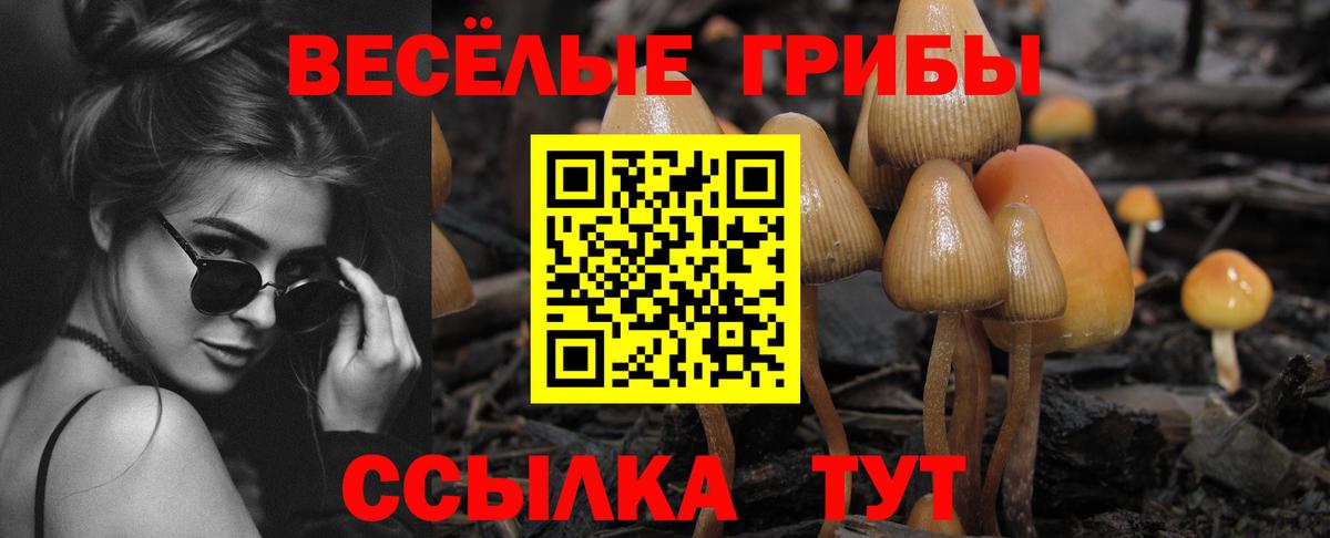 Туймазы  Галлюциногенные грибы MAGIC MUSHROOMS  Вход с VPN 